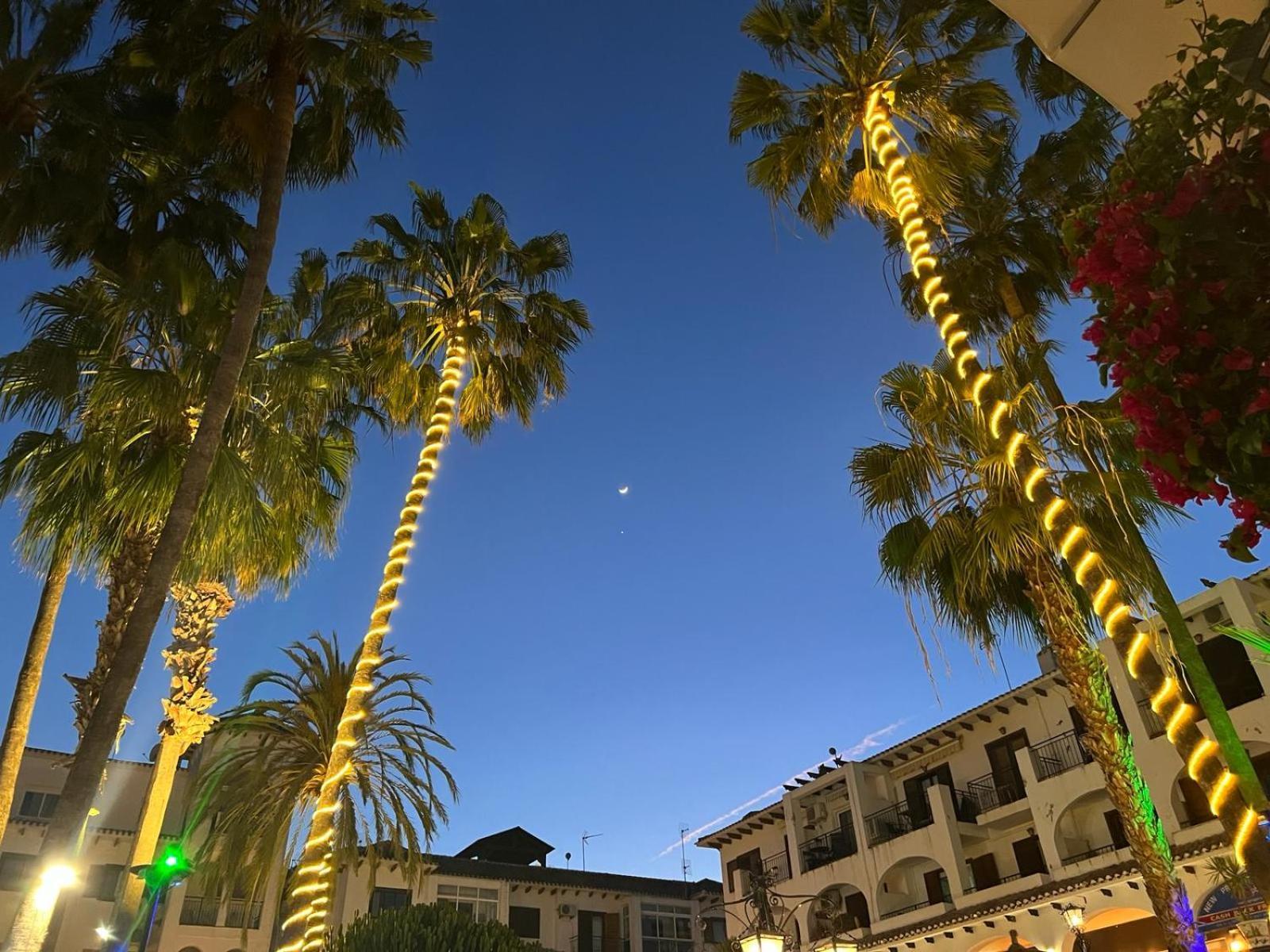 Palmview Poolside Heaven In Turquesa Del Mar Apartment Orihuela Bagian luar foto